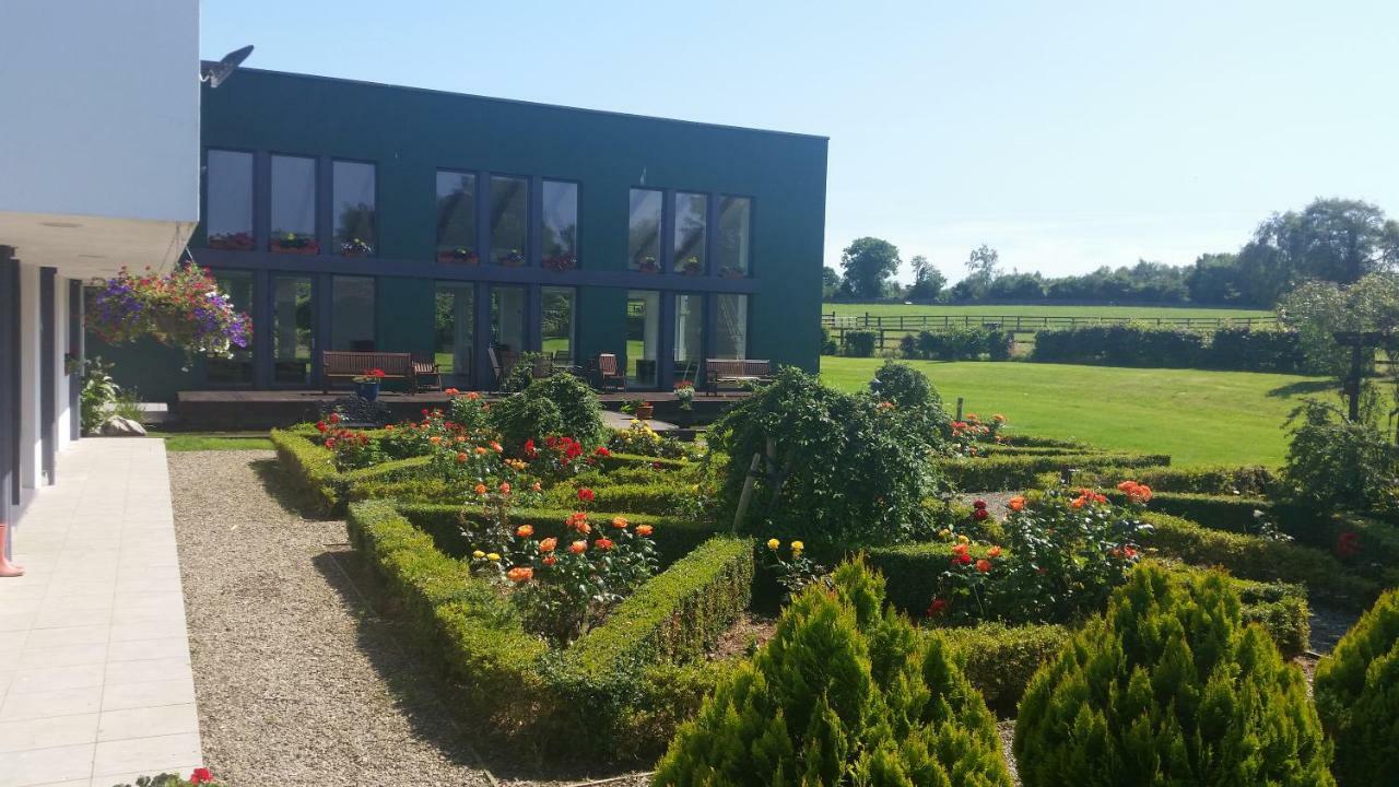 Hazelwood * Adare
